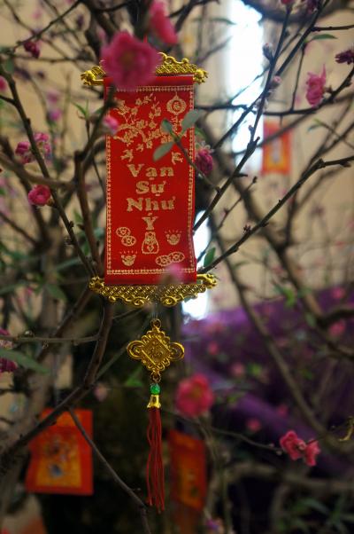 *初めてのハノイ*　～ハノイで迎える旧正月～　vol.1