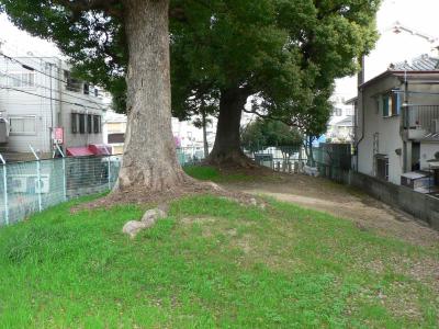 日本の旅　関西を歩く　大阪府門真市、茨田堤（まむたのつつみ）古川橋駅（ふるかわばしえき）周辺