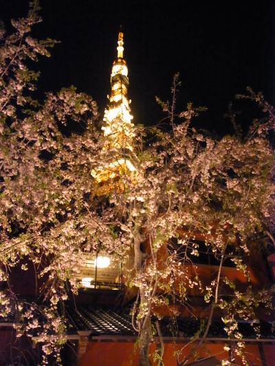 東京-東京タワー ＊夜景＊
