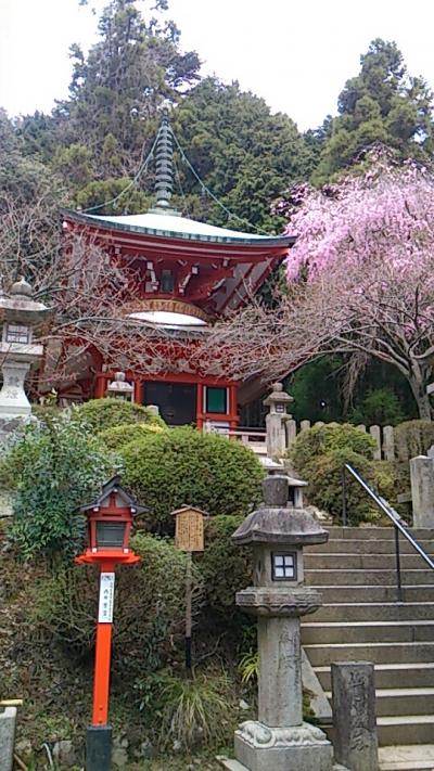 京阪１dayチケットで鞍馬・貴船へ　