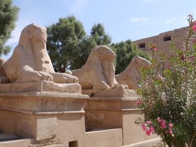 エジプト　ナイル川クルーズ旅行　①