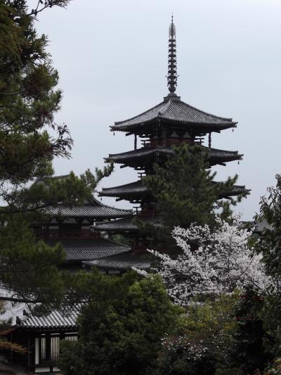 奈良の桜　大和路を行く3 雨の法隆寺