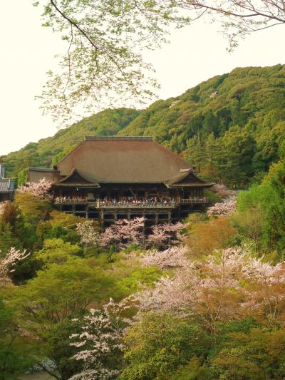 ゆとりの京都７泊で古都の桜めぐりと奈良吉野山・ちょっと大阪へ～４日日～