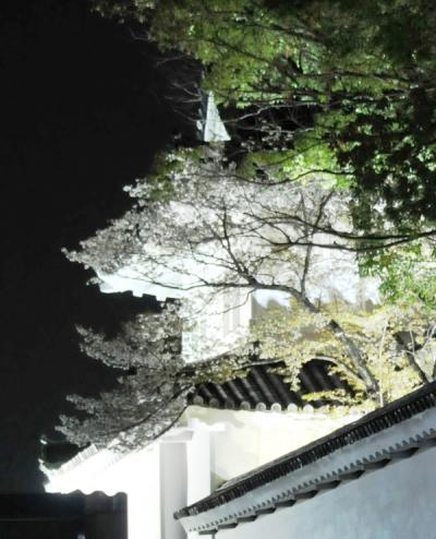 京都の桜　その４（最終）