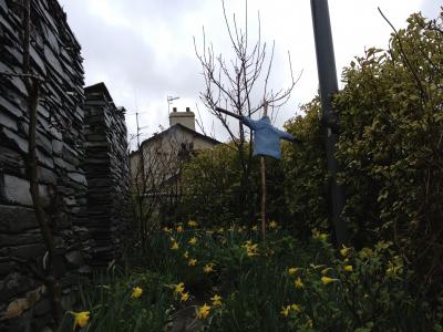 湖水地方 ピーターラビットの世界