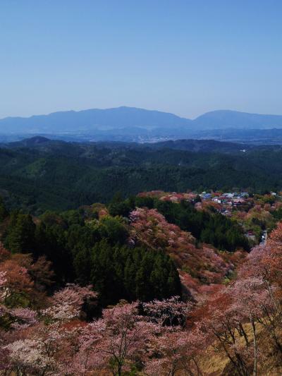 ゆとりの京都７泊で古都の桜めぐりと奈良吉野山・ちょっと大阪へ～5日・6日・7日目～
