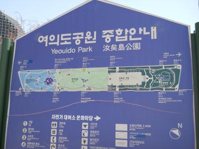 2013　春 汝矣島の桜