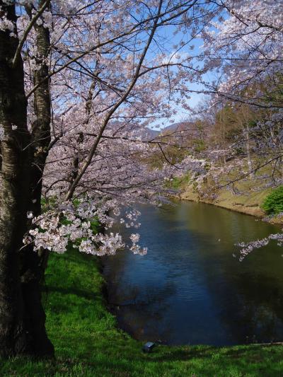 信州高遠の桜・高田の夜桜・弘法古墳の桜とイチゴ狩りバスツアー