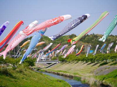 瀬又の鯉のぼり