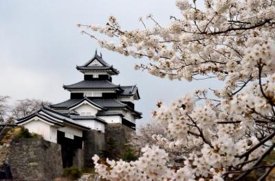 ２０１３年観桜記　（９）北上する桜前線を追いかけて奥州白河へ