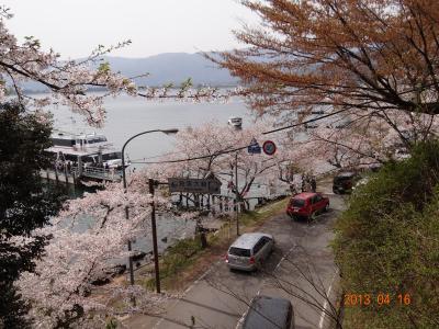 桜前線を追って