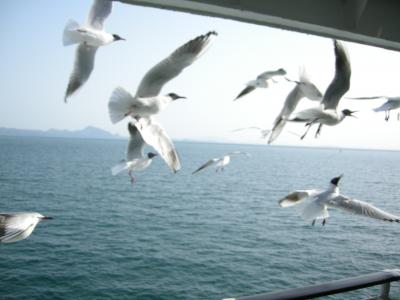 目的地はどこだ！九州5県横断＋神戸、船旅ありだが３日間の弾丸ツアー　その２