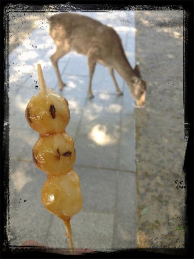 奈良公園から、商店街を抜け、、、