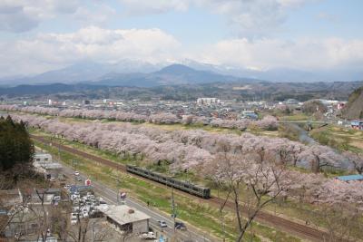 『ひと目千本桜　』＆　『白石城』