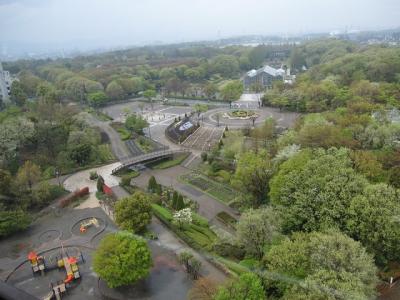 古淵駅から「木もれびの森（相模原中央緑地）」・「神奈川県立相模原公園」