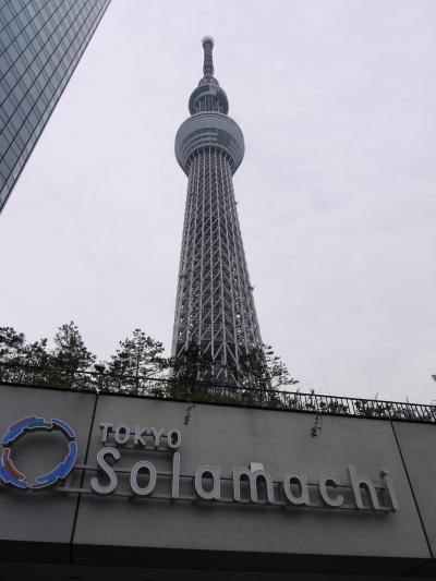 スカイツリーと浅草浅草寺