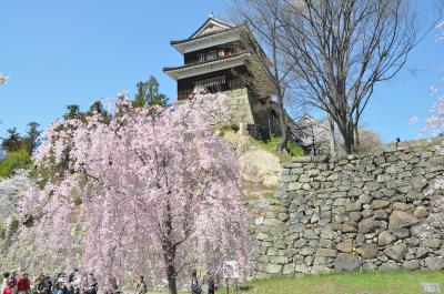 信州さくらまつりめぐり「上田城・臥龍公園・高島城」
