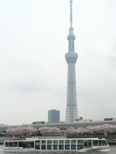 父娘で行く東京旅行（スカイツリー、秋葉原）