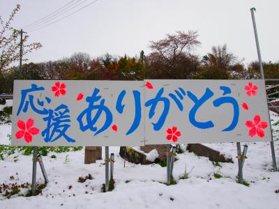 2013年4月　雪見＆花見＠花見山公園＆三春滝桜