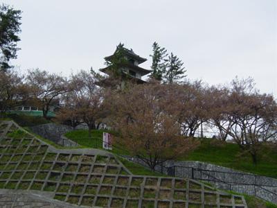 高遠城址公園の桜まつり…の周辺が面白い