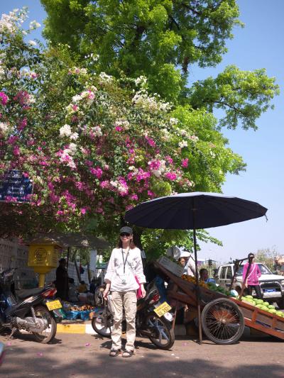 2013年3月 アジア3国 3 ラオス・ビエンチャン