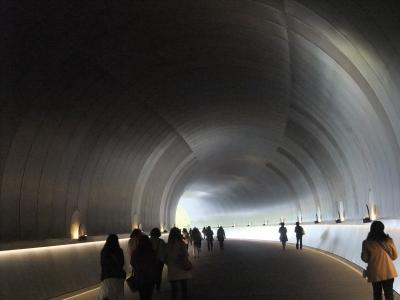 日帰りバス MIHOミュージアム