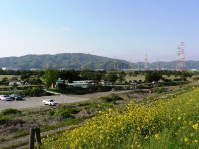 日本の旅　関西を歩く　大阪府枚方市、牧野パークゴルフ場周辺の春