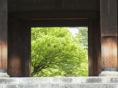 歩きすぎました、新緑の京都