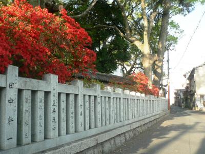 日本の旅　関西を歩く　大阪府枚方市、花見の牧野駅周辺の春