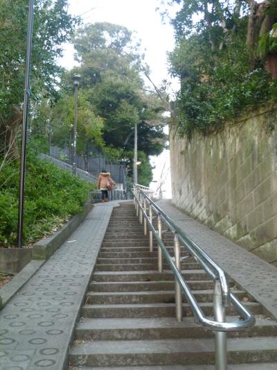 椿山荘庭園と東京・目白の坂道