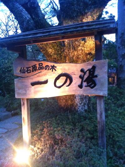 箱根  品の木一の湯