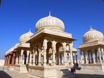 インド北西部再訪５★ビカネール?デヴィクンドとジャイナ教寺院