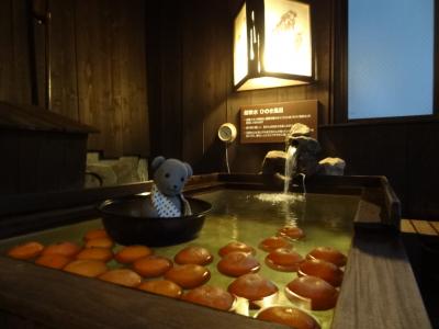 00ドーミーめぐり東京の旅ダイジェスト