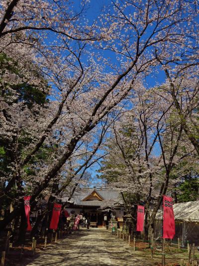 上田城跡公園b　真田神社と西櫓など再び撮影　　☆25日前とは様がわりし
