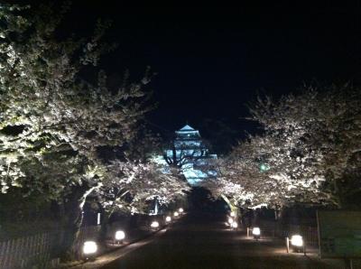 会津の桜 2013