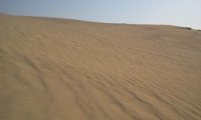 砂まみれの鳥取砂丘