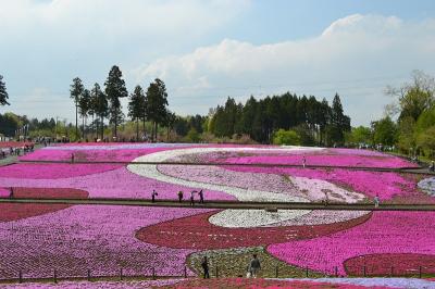 川越・長瀞・芝桜まつり