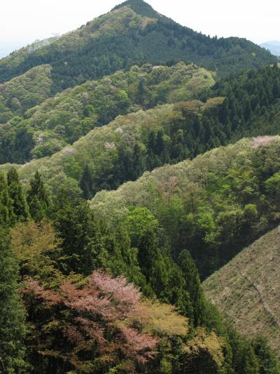 夏休みの予行？　御岳山～日の出山～金毘羅山ハイキング