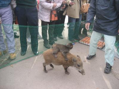 カニ食べついでに福知山市動物園