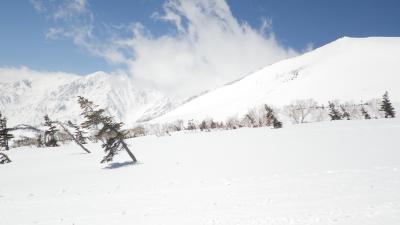 白馬乗鞍～蓮華温泉　山スキー
