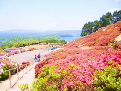 ２０１３年　西海国立公園のツツジ祭りと藤まつり