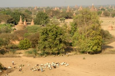 ミャンマー、ロンジーをひきずりながら…　その12　バガンでバゴダ巡り