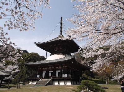 根来寺（和歌山県）で桜を見てきました！（２０１３年４月）