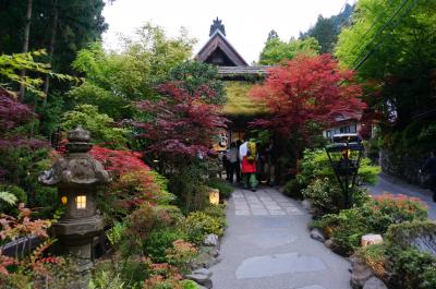 陣馬山の帰りに「うかい鳥山」へ