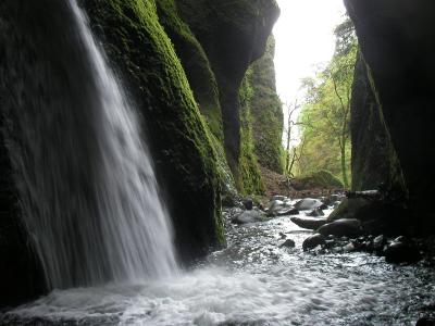 緑の洞窟に落ちる美瀑