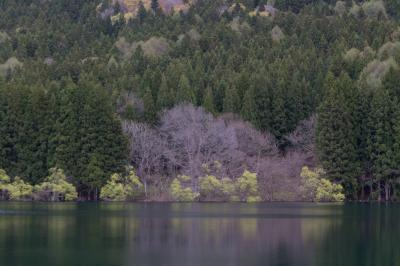 森と湖に包まれたい･･･北信州の旅（北竜湖・菜の花公園・野尻湖）