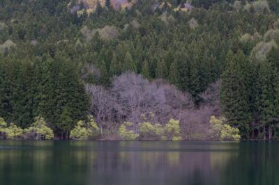 森と湖に包まれたい･･･北信州の旅（北竜湖・菜の花公園・野尻湖）