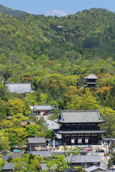 京都を歩く(161) 萌黄色に彩られる春の仁和寺
