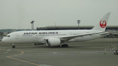 ＪＡＬ B787とインド国内線の旅