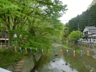 新緑と鯉のぼり、茨城・袋田の滝から花貫渓谷へ